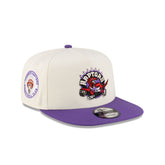 Toronto Raptors 1995-2008 Hardwood Classics Express Chrome White 9FIFTY A-Frame Snapback Hat