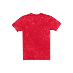 San Francisco 49ers Throwback Washed T-Shirt